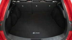 y10niMZAA1#/MZAH1#/KMA10^jLEXUS UXzuLEXUSvS J[ybgJ[S}bg COdlANZT[