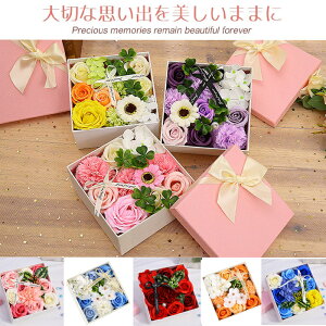 15OFFN[|t̓ \[vt[ {bNX t[ AWg Ό  t[Mtg a v[g  j LO o J[l[V ސEj 