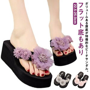 ؂₩ gO y ₷ r[` ؂  EGbW\[ T_ r[`T_ C Ȃ ԕ r q[ {[ ][g  r l 3cm/6cm 