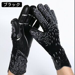 L[p[O[u TbJ[O[u L[p[ S[L[p[ X|[c X^_[h ebNX TbJ[ qp qǂ LbY WjA lp K p ^ TbJ[`[ [