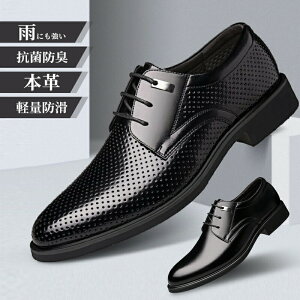 yyVX[p[SALE z{v rWlXV[Y Y amC vC EH[LO L ɂ 2cm YV[Y h\[ 傫TCY 24~28cm r amC U[ C tH[} JW