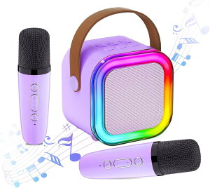 カラオケマイク Bluetoothマイク2本 無線マイク ワイヤレス スピーカー PAセット 伴奏機能付き ワイヤレス ステレオ対応 家庭用カラオケセット ホームカラオケ KTV ポータブル ミニカラオケ 室