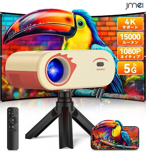 z[vWFN^[ youtube vWFN^[ V ƒp V䓊e XN[ 100C` Ή l炵  HDMI vWFN^[ ^ X}z^ z[ vWFN^[ 4k q X}z p