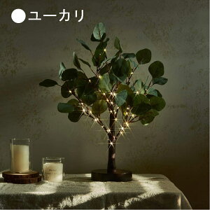 u`c[ 45cm 50d LEDC~l[V NX}Xc[  ԐڏƖ 3000 dr USBd p ^C}[@\ zj NX}X v[g