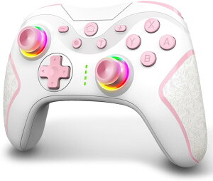 Nintendo Switch L@EL CVXCb` vR SV[YΉ WCZT[ HDU }N@\ 3KiTURBOA 4KiHDU wʃ{^t XCb`Rg[[ Type-CLڑ PC SăV