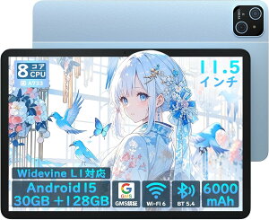 Android 16 �^�u���b�g 11.6�C���` 30GB RAM 128GB ROM 1TB�g�� 8�R�ACPU 1280*1752 ���˖h�~ ��u���[���C�g �ڂɗD���� 6000mAh Wi-Fi 5 Widevine L1 �t�� ��ʕ��� �J���� ��F�� Micro HDMI ������� �^�u���b�gPC �{