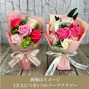 ���Əj�� ���w�j�� �M�t�g �S�f�B�o �|�b�v�}�[�g ���u�u �}�X�^�[�s�[�X �~���N�`���R���[�g�� GODIVA × LABUBU �X�C�[�c �� �\�[�v�t�����[ �Z�b�g �͂�Ȃ��� �`���R���[�g ���j�� ���Ԃ� ��