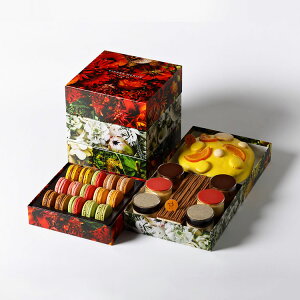 sG[EGEp hDX[ f k[x A Oid Ⓚ sG[G PIERRE HERME }J P[L XC[c lߍ킹 Mtg Ε NX}X N j  