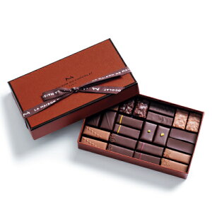 A\eB ] S1 (24) E]EfEVR (①) Ε 蕨  XC[c ̓ ̓ O yY ЂȍՂ ߕ  䒆 Mtg o^Cf