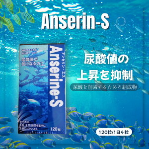 xRi AZTv AZS 120 A_ v̂CɂȂ S̓{ A_lT|[g Tv v A_l΍