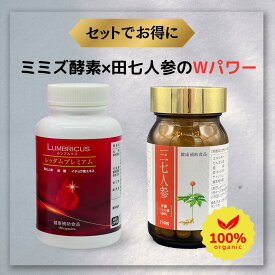 ミミズ酵素と田七人参 『レッダムプレミアム』+『有機三七人参』セット商品 みみず酵素 抽出 イチョウ葉エキス ギャバ ルンブロキナーゼ ルンブルクスルベルス 赤ミミズ酵素 ルンブル ルンブルクス