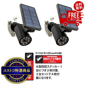 IikCAق̏jyVXF(RXgR) MTO \[[ZT[Cg_~[J^ }Olbgt 2Zbg EDS0796MN2S