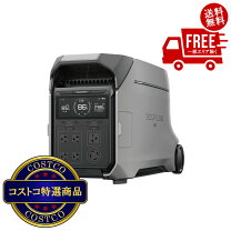 楽天市場】EcoFlow DELTA Pro 3の通販