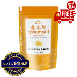 IikCAق̏jyVXF(RXgR) Gv\\g؍