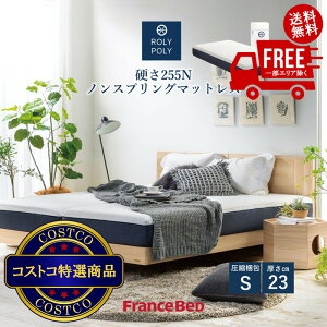 マットレス フランスベッド ノンスプリングの人気商品・通販・価格比較 