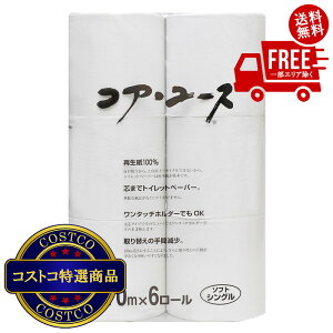 IikCAق̏jyVXF(RXgR) A[X gCbgy[p[ VO 100TCNy[p[ 170m 6[