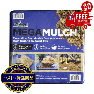 I(RXgR) vgxXg K}` kRRibc}` 2pbN@2?3ȓɂ͂܂