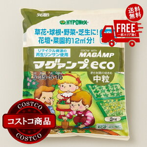 I(RXgR) nC|lbNX }O@veco  엿 3kg@2?3ȓɂ͂܂