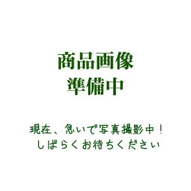 送料無料！（北海道、沖縄ほかの除く）楽天店限定：(コストコ) シャインスマイル ホワイトニングキット