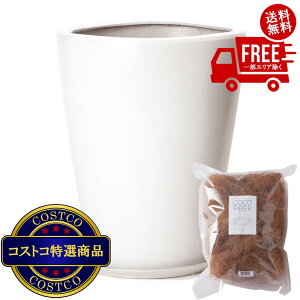 I(RXgR) }e[ _ PR1 }bg v^[ 󂯎Mt M 11 32 x 39.5cm zCg ZZ-C13W11P@5?14ł͂܂