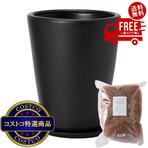 I(RXgR) }e[ _ PR1 }bg v^[ 󂯎Mt M 11 32 x 39.5cm ubN ZZ-C13K11P@5?14ł͂܂