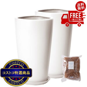 I(RXgR) _ PR1 }bg v^[ 󂯎Mt 2Zbg XS 7 21 x 35cm zCg ZZ-C13W07Px2@5?14ł͂܂