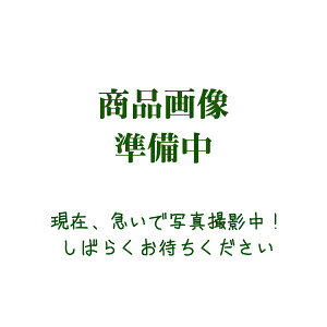 送料無料!(北海道、沖縄ほかの除く)楽天店限定:(コストコ) 生活の木 シアバター バスミルク 250ml ※ご注文後5〜14日でお届けします