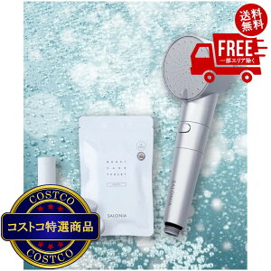 ���������I(�R�X�g�R) SALONIA �V�����[�w�b�h �t�@�C���o�u�� �N���A �V���o�[ �Z�b�g SAL23303SS�@����������5-14���ł��͂����܂�