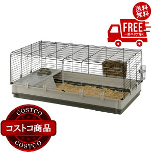 I(RXgR) ETMpP[W NbN XL O[@5`14ł͂܂