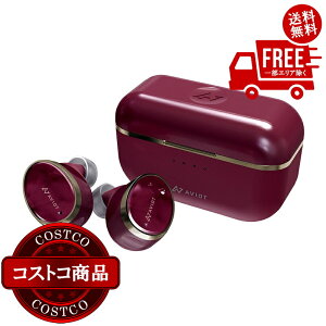 I(RXgR) AVIOT SCXCz TE-BD11tR _[N[W@2`3ȓɂ͂܂