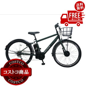 I(RXgR) PELTECH 27.5C` dAVXgNXoCN TDA-207ZP-12Ah obe[ J[L@5`14ł͂܂
