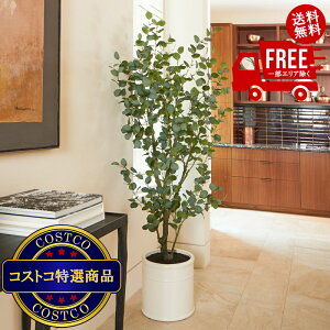 I(RXgR) CG HUNTER lHϗtA [J 198cm@2?3ȓɂ͂܂