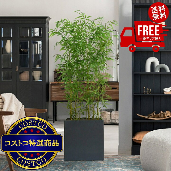 楽天市場】送料無料！(コストコ) CG HUNTER 人工観葉植物 青竹 ルーム 