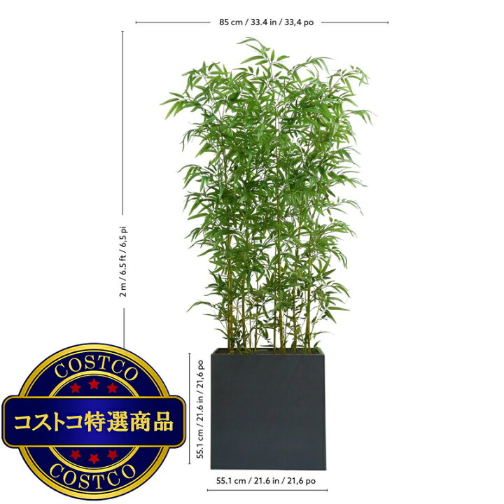 楽天市場】送料無料！(コストコ) CG HUNTER 人工観葉植物 青竹 ルーム 
