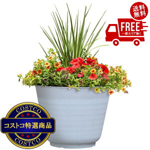 I(RXgR) ghX|bg Wheatfield v^[ 4Zbg a36.8 cm@2?3ȓɂ͂܂