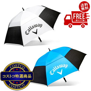 I(RXgR) LEFC 62" StP 2pbN@2`3ȓɂ͂܂