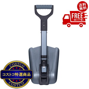 I(RXgR) BirdRock [eBeBVx 2{@2?3ȓɂ͂܂