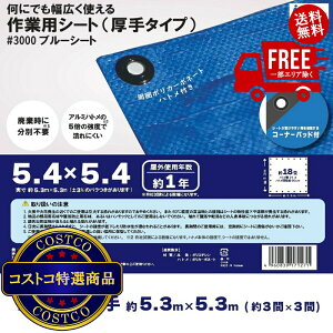 I(RXgR) AClbg #3000u[V[g 5.4 x 5.4m@5?14ł͂܂