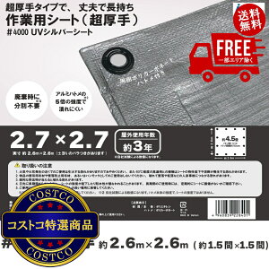 I(RXgR) AClbg #4000όUVVo[V[g 2.7 x 2.7m 8Zbg@5?14ł͂܂