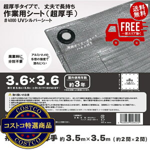 I(RXgR) AClbg #4000όUVVo[V[g 3.6 x 3.6m 6Zbg@5?14ł͂܂