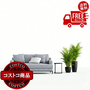 ���������I(�R�X�g�R) PEEL&STICK 100���V�R�嗝�΃^�C�� 70�� 203 x 76 x 4mm �~�f�B�A�� PST-M01�@����������5-14���ł��͂����܂�