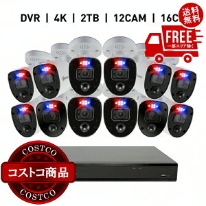 ���������I(�R�X�g�R) Swann�i�X�����j16CH 4K DVR�V�X�e�� 4TB Enforcer �o���b�g�^ �J����12��@����������5-14���ł��͂����܂�