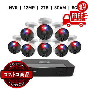 ���������I(�R�X�g�R) Swann�i�X�����j�G���t�H�[�T�[ 8CH NVR�Z�L�����e�B�V�X�e��2TB �o���b�g���J����8��Z�b�g SWNVK-890008�@����������5-14���ł��͂����܂�