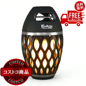 送料無料！(コストコ) BOOS 炎音 LEDライト Bluetoothスピーカー HNB-RS1　2セット　※ご注文後5-14日でお届けします