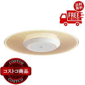 ���������I(�R�X�g�R) �A�C���X�I�[���} ���^�V�[�����O���C�g 1500lm ������ �l���Z���T�[�t �d���F SCL-150LMS-LGP�@����������5-14���ł��͂����܂�