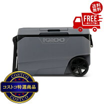 楽天市場】イグルー(igloo) ステンレスクーラー (51l)の通販