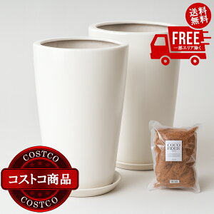 ���������I(�R�X�g�R) ���_�� PR1 �}�b�g�� �v�����^�[ �󂯎M�t�� 2�Z�b�g XS 7�� 21 x 35cm �z���C�g ZZ-C13W07Px2�@����������5-14���ł��͂����܂�