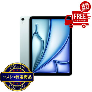 ���������I(�R�X�g�R) Apple/iPad Air 11�C���`/M4�`�b�v/Wi-fi���f��/512GB - �u���[�@����������2-3���ȓ��ɂ��͂����܂�