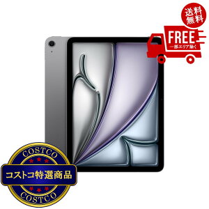 ���������I(�R�X�g�R) Apple/iPad Air 11�C���`/M4�`�b�v/Wi-fi���f��/128GB - �X�y�[�X�O���C�@��