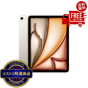 ���������I(�R�X�g�R) Apple/iPad Air 11�C���`/M4�`�b�v/Wi-fi���f��/512GB - �X�^�[���C�g�@��